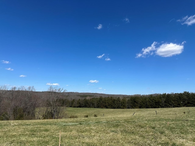 9866 Leesville Rd, Evington, VA 24550 - view of woods featuring a rural view
