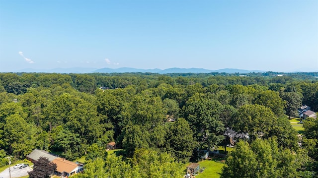 1639 Rainbow Forest Dr, Lynchburg, VA 24502 - photo 6