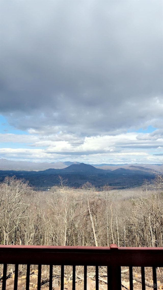 759 Grants Hollow Rd, Monroe, VA 24574 - mountain view