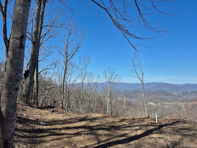759 Grants Hollow Rd, Monroe, VA 24574 - property view of mountains