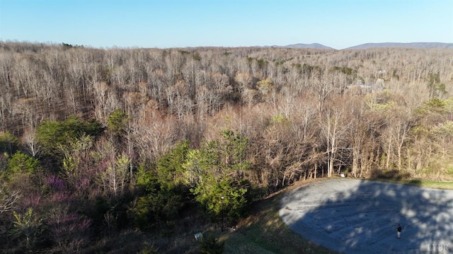 0 Crestview Ln, Gretna, VA 24557 - photo 4