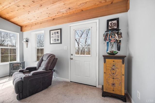 700 Cloudcroft Dr, Monroe, VA 24574 - interior space with a wood stove, vaulted ceiling, a healthy amount of sunlight, and wood ceiling