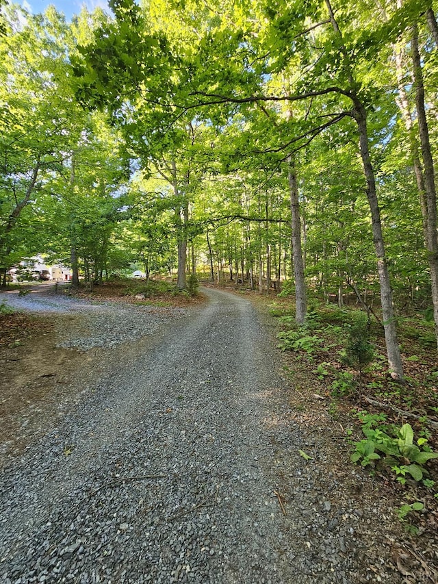 700 Cloudcroft Dr, Monroe, VA 24574 - view of road