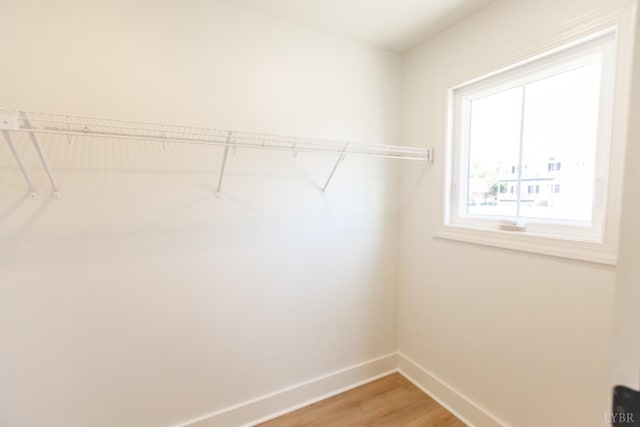 271 Riverside Dr, Lynchburg, VA 24503 - walk in closet with light wood-style flooring