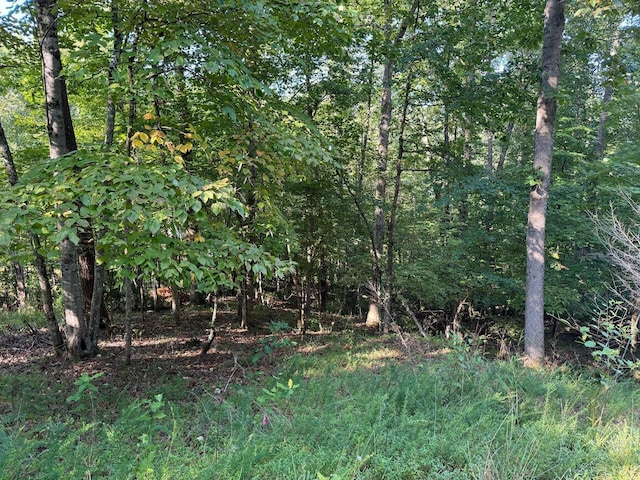 2 Cedar Bluff Ln, Hardy, VA 24101 - view of tree filled area