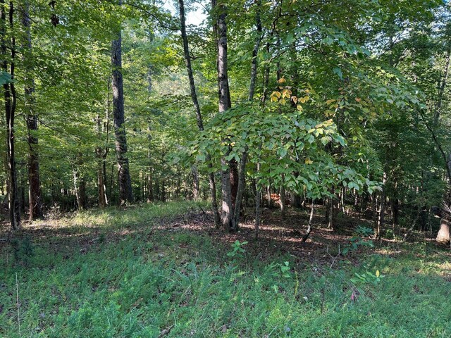 2 Cedar Bluff Ln, Hardy, VA 24101 - view of nature with a view of trees