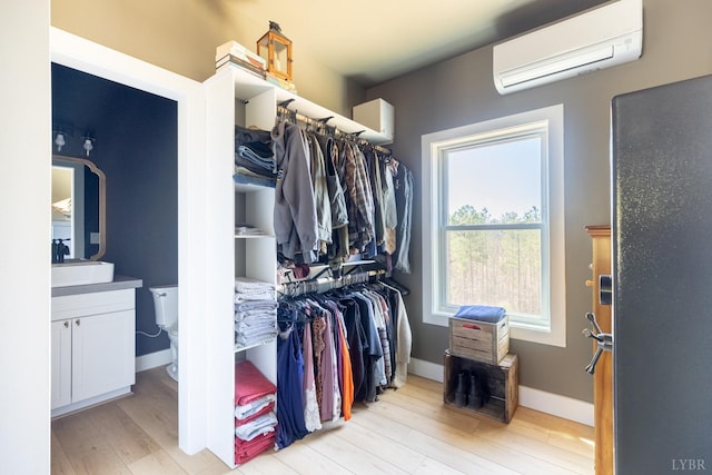 355 Camellia, Hurt, VA 24563 - spacious closet featuring a wall unit AC, light wood finished floors, and a sink