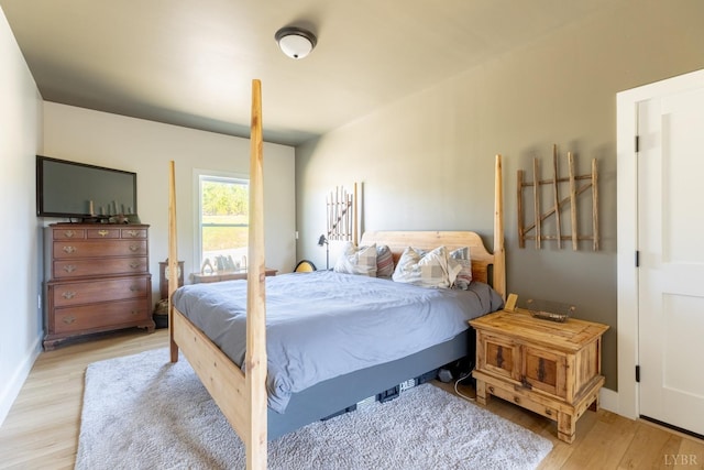 355 Camellia, Hurt, VA 24563 - bedroom featuring light wood-type flooring