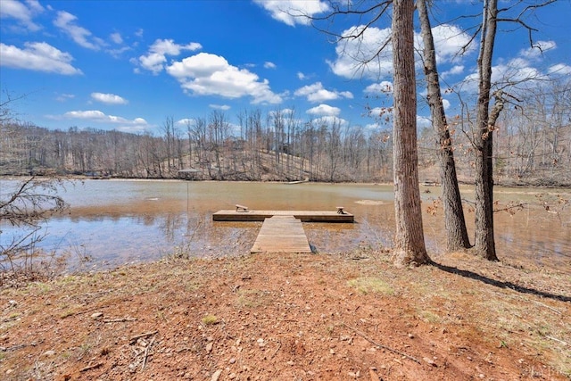 200 Inlet Dr, Wirtz, VA 24184 - dock area with a water view and a forest view