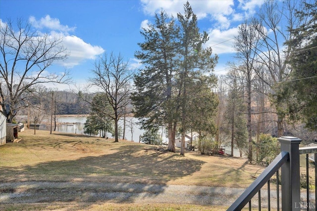 1014 Tall Tree Rd, Wirtz, VA 24184 - view of yard