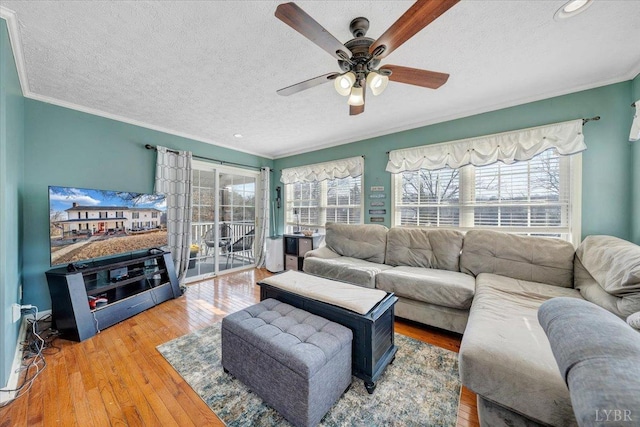 1014 Tall Tree Rd, Wirtz, VA 24184 - living area with ceiling fan, a textured ceiling, crown molding, wood-type flooring, and recessed lighting