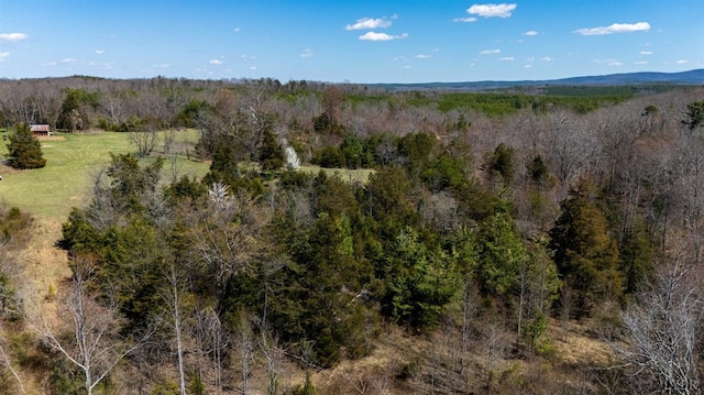 0 Norwood Rd, Gladstone, VA 24553 - photo 23