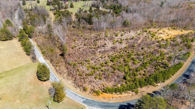 0 Norwood Rd, Gladstone, VA 24553 - photo 18