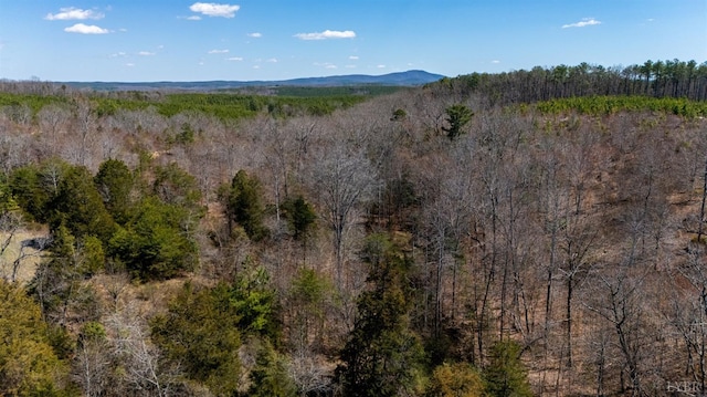 0 Norwood Rd, Gladstone, VA 24553 - photo 24