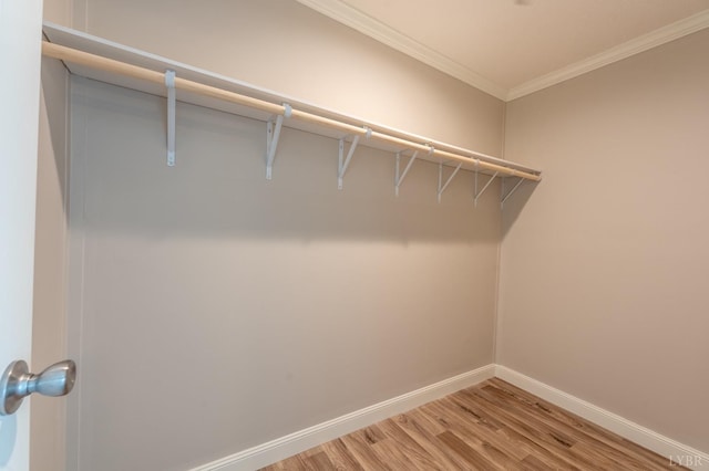 1381 Moccasin Path Trl, Huddleston, VA 24104 - spacious closet featuring light wood-style floors