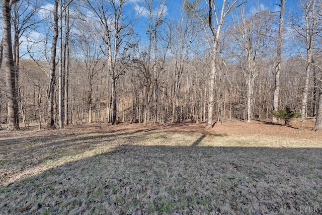 1309 Gate Ln, Moneta, VA 24121 - view of yard featuring a forest view