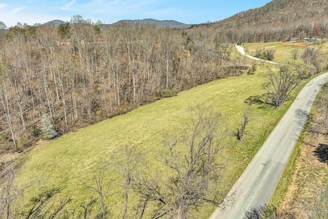 1330 Springfield Dr, Vinton, VA 24179 - aerial view of property and surrounding area featuring a forest and mountains