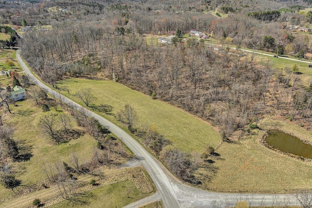 1330 Springfield Dr, Vinton, VA 24179 - view of property location