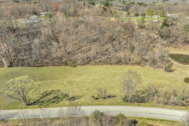 1330 Springfield Dr, Vinton, VA 24179 - aerial view