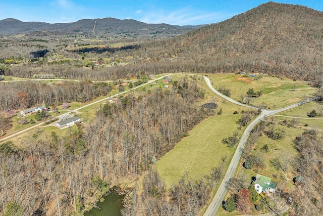1330 Springfield Dr, Vinton, VA 24179 - aerial overview of property's location with a mountain backdrop