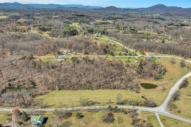 1330 Springfield Dr, Vinton, VA 24179 - aerial view of property and surrounding area with a mountain backdrop