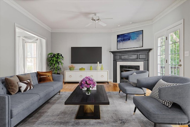 352 Wild Turkey Rd, Lynchburg, VA 24502 - living area featuring healthy amount of natural light, crown molding, a ceiling fan, wood finished floors, and a fireplace