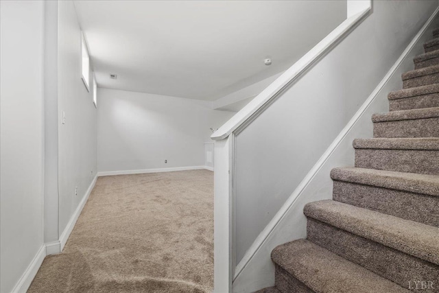 352 Wild Turkey Rd, Lynchburg, VA 24502 - staircase with carpet flooring