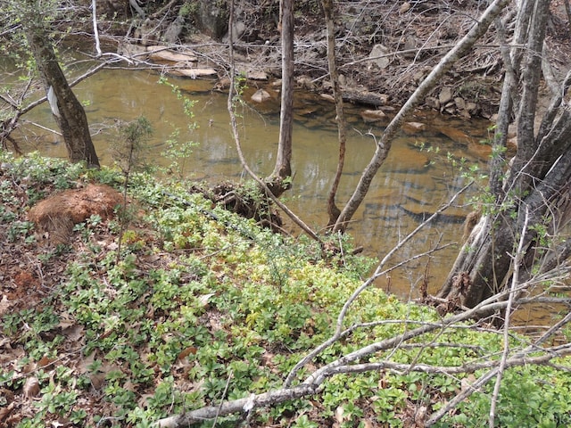723 Custer Dr, Lynchburg, VA 24502 - view of landscape with a water view