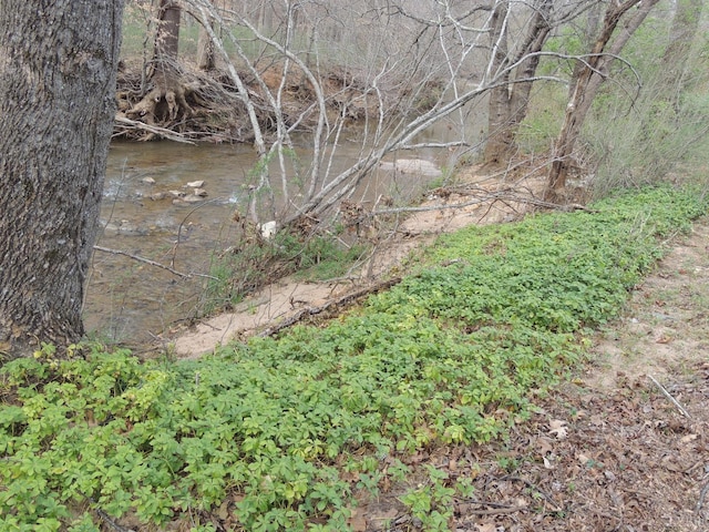 723 Custer Dr, Lynchburg, VA 24502 - view of local wilderness