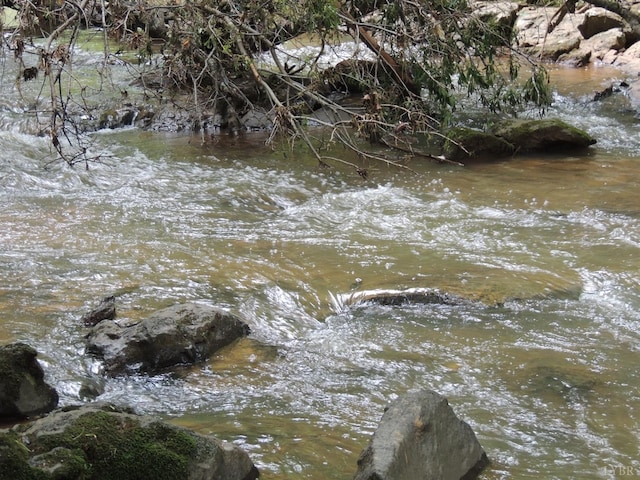 723 Custer Dr, Lynchburg, VA 24502 - view of local wilderness