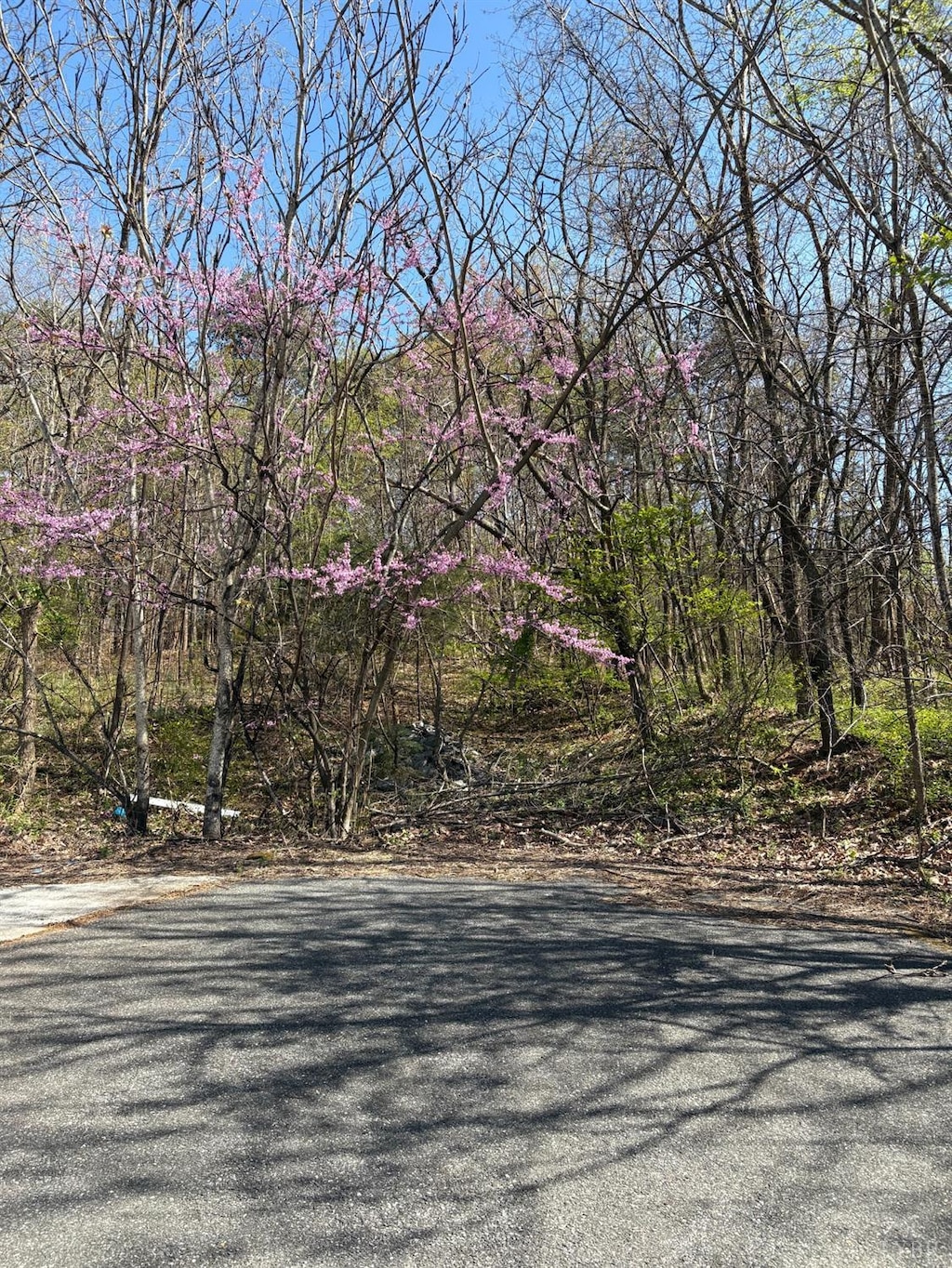 5935 Wards Rd, Evington, VA 24550 - view of road