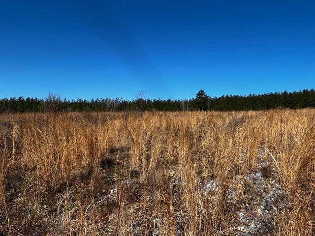1151 Hubbard Rd, Long Island, VA 24569 - photo 21