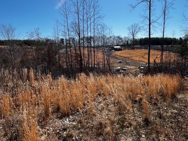 1151 Hubbard Rd, Long Island, VA 24569 - photo 6