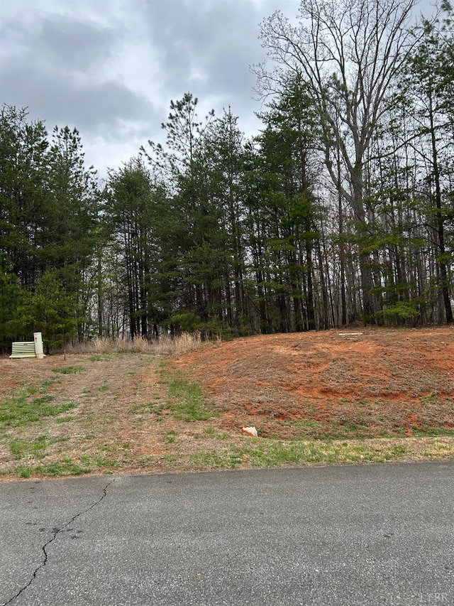 107 Runaway Bay Rd, Lynch Station, VA 24571