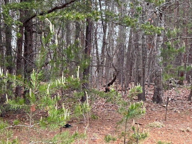 107 Runaway Bay Rd, Lynch Station, VA 24571