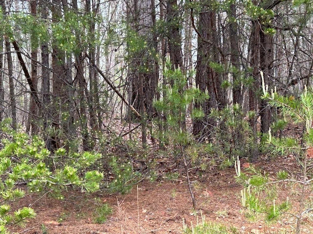 107 Runaway Bay Rd, Lynch Station, VA 24571