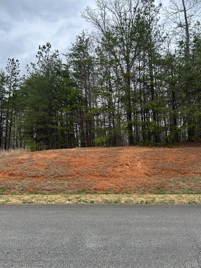 107 Runaway Bay Rd, Lynch Station, VA 24571