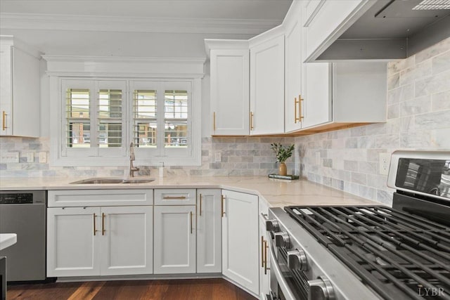 1031 Tori Ct, Forest, VA 24551 - kitchen featuring appliances with stainless steel finishes, wall chimney exhaust hood, a sink, white cabinets, and crown molding