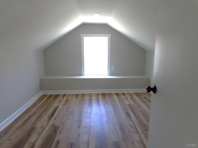 1021 Bowman Ln, Bedford, VA 24523 - additional living space featuring wood finished floors, lofted ceiling, and baseboards