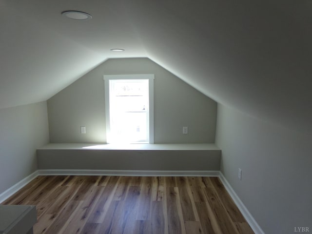 1021 Bowman Ln, Bedford, VA 24523 - additional living space featuring wood finished floors and vaulted ceiling