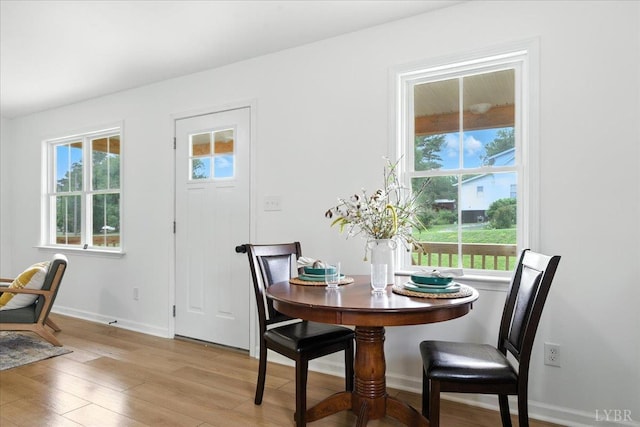 109 Ned Brown Rd, Amherst, VA 24521 - dining area with light wood-type flooring and healthy amount of natural light