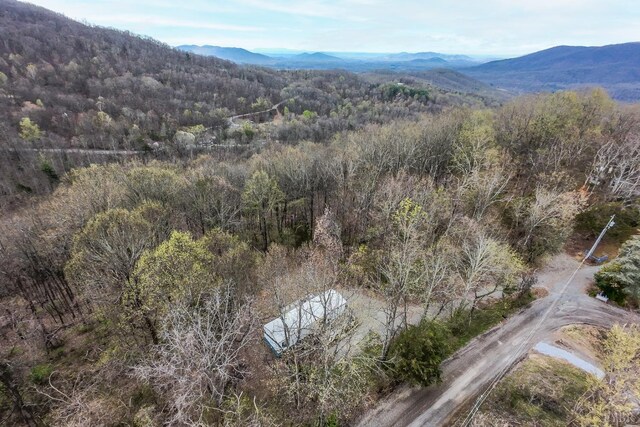 4404 Murray Hollow Rd, Thaxton, VA 24174 - photo 41