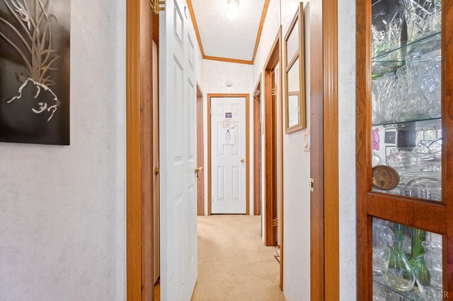 4404 Murray Hollow Rd, Thaxton, VA 24174 - photo 57