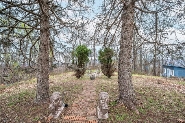 4404 Murray Hollow Rd, Thaxton, VA 24174 - photo 84