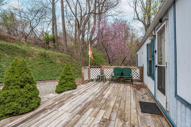 4404 Murray Hollow Rd, Thaxton, VA 24174 - photo 26