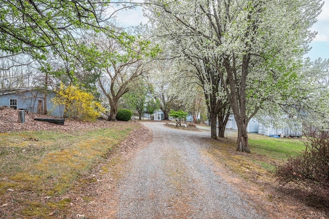 4404 Murray Hollow Rd, Thaxton, VA 24174 - photo 83