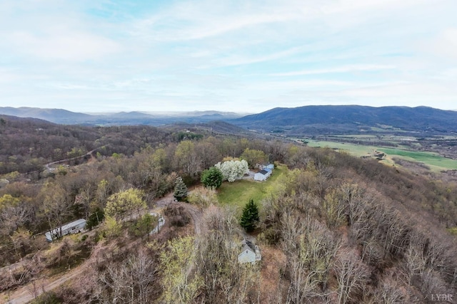 4404 Murray Hollow Rd, Thaxton, VA 24174 - photo 1