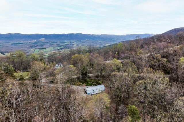 4404 Murray Hollow Rd, Thaxton, VA 24174 - photo 42