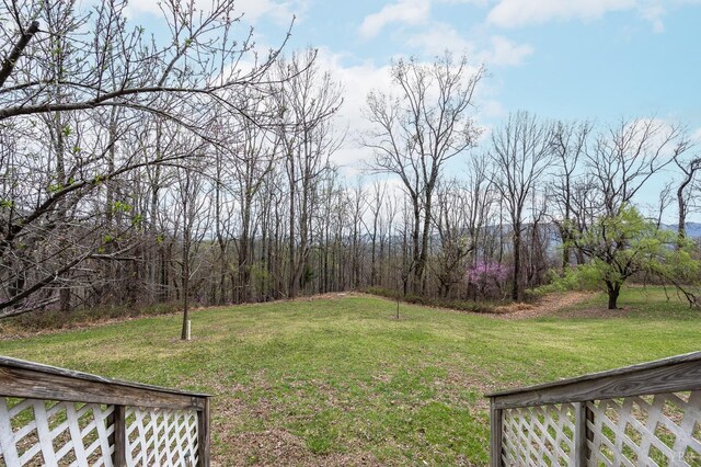4404 Murray Hollow Rd, Thaxton, VA 24174 - photo 82
