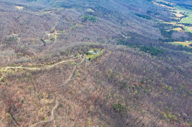 4404 Murray Hollow Rd, Thaxton, VA 24174 - photo 88